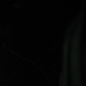 Meet your Posher, Nikemah